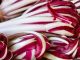 radicchio rosso di treviso