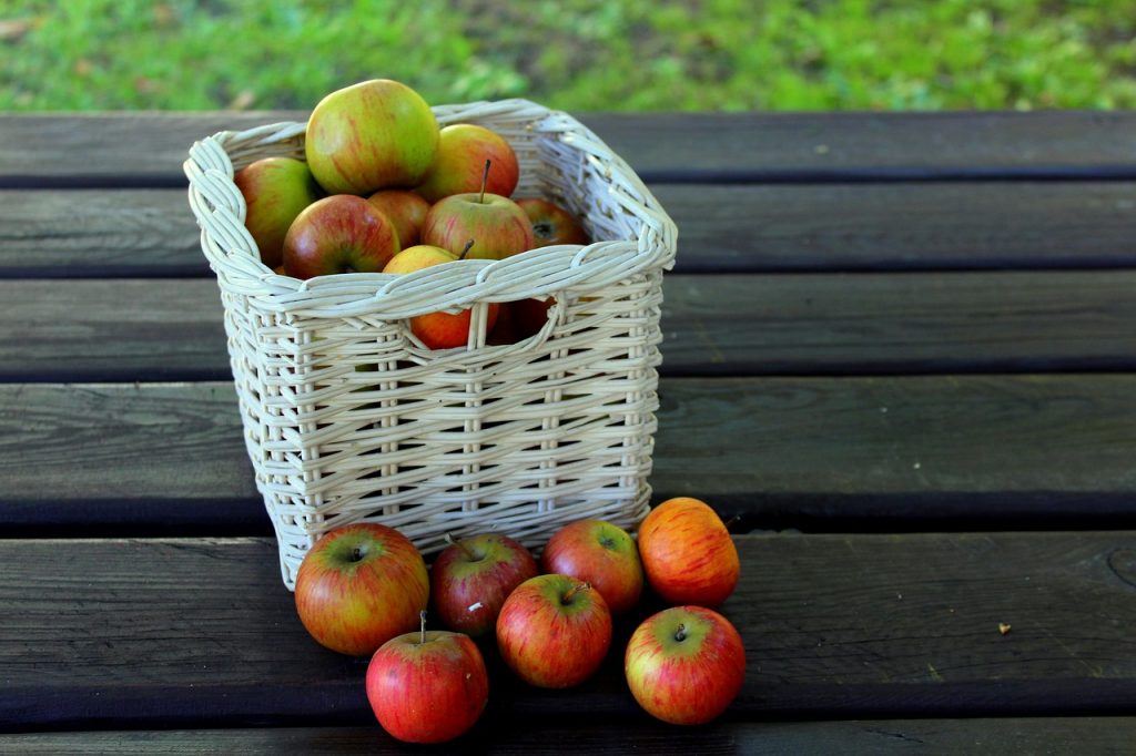 antiche mele di monfumo treviso - frutta del veneto