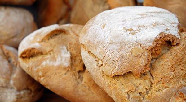 formaggio casatella belluno pane