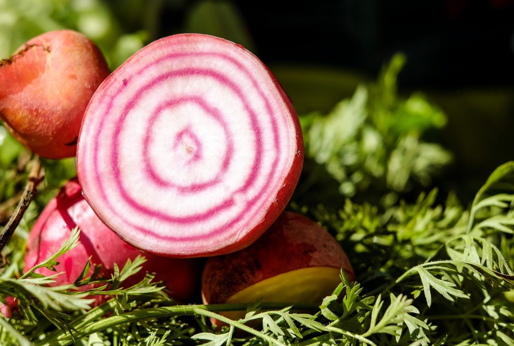 la barbabietola rossa di chioggia