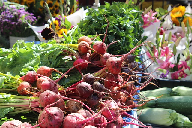 la barbabietola rossa di chioggia