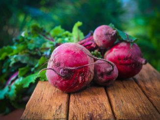 la barbabietola rossa di chioggia